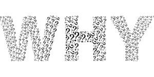 Why 2028047 1280 300x150