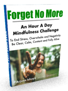 My Wonderous Stress Ending, Life Boosting Mindfulness Challenge - For You! Forget No More Cover 3d Render 226x300