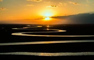 Meaning Of Life 300x194