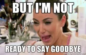 Goodbye 300x193
