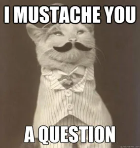 Great Question 284x300