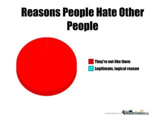 Reasons People Hate Other People O 947545 300x231