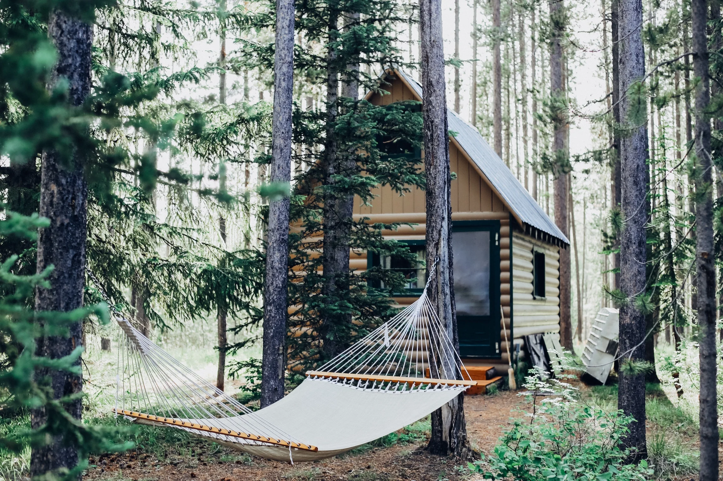 Cara Fuller 307535 Unsplash