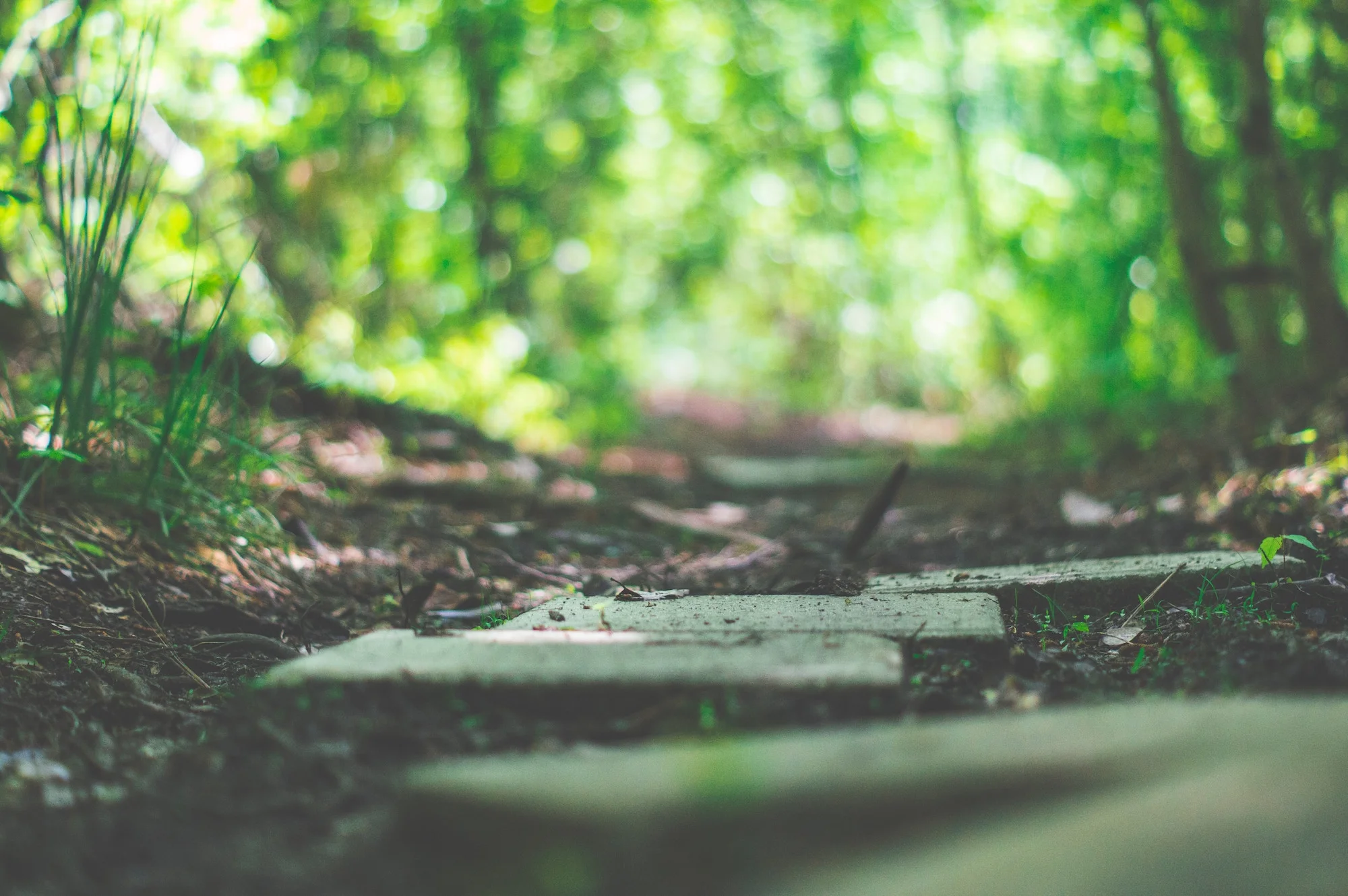 Timothy Dykes OUeb1rFI2yk Unsplash