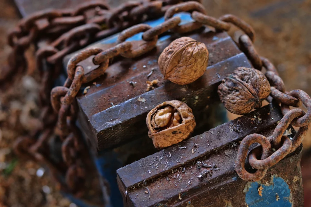 Virginia Long BuTcpgLbDaI Unsplash 1024x683